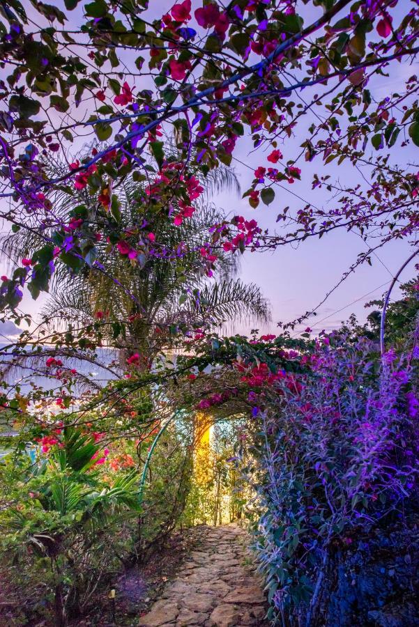 Sunset Palm Lodge San Gil Exterior photo